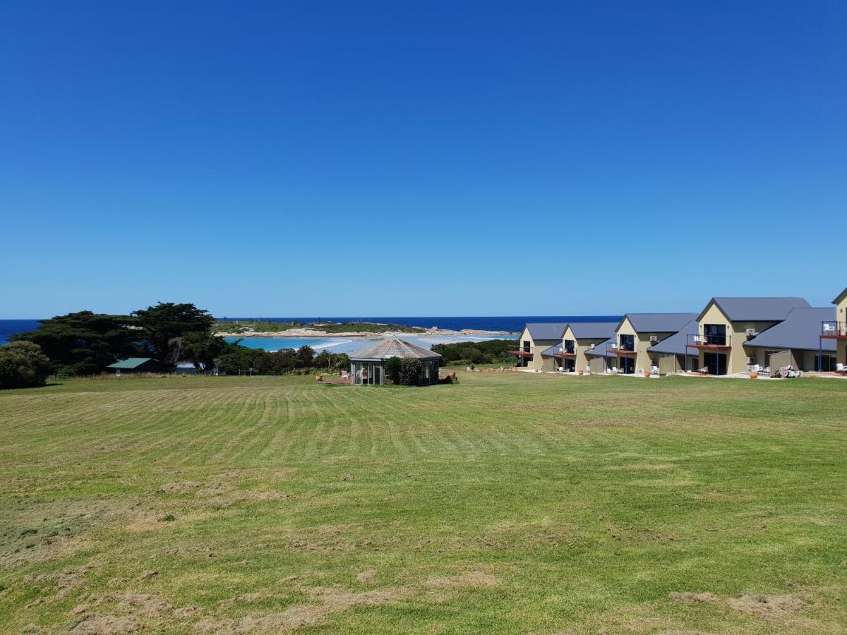 Diamond Island Resort, Restaurant & Bar And Penguin Show Bicheno Exterior foto